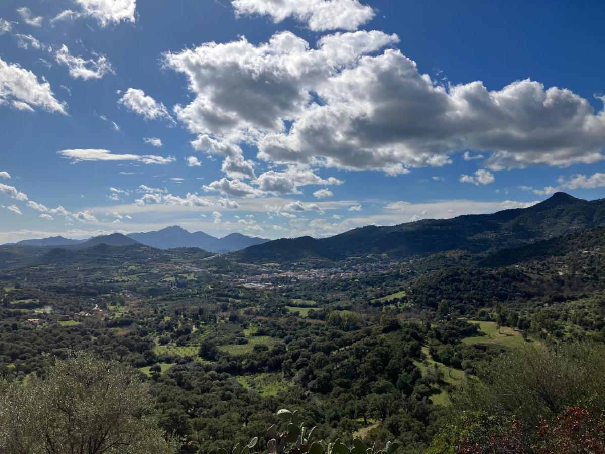 La Corte Dei Baroni Loceri Exteriör bild